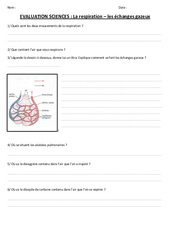 Respiration - Echanges gazeux - Examen Evaluation : 6ème, 7ème Harmos - PDF à imprimer