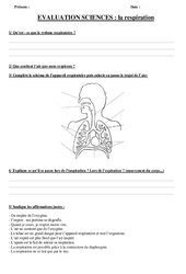 Respiration - Examen Evaluation : 5ème, 6ème, 7ème Harmos - PDF à imprimer