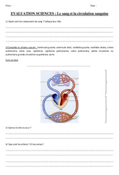 Le sang et la circulation sanguine - Examen Evaluation : 7ème Harmos - PDF à imprimer