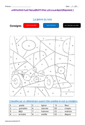 Genre du nom - Coloriage magique : 4ème Harmos - PDF à imprimer