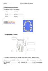 Dents - Examen Evaluation : 5ème Harmos - PDF à imprimer