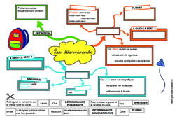 Les déterminants - Carte mentale à co - construire : 6ème, 7ème Harmos - PDF à imprimer