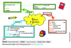Nature et fonction - Carte mentale à co - construire : 6ème, 7ème Harmos - PDF à imprimer