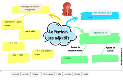 Le féminin des adjectifs - Carte mentale à co - construire : 4ème, 5ème Harmos - PDF à imprimer