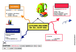 Le pluriel des noms en - eu, - - eau - Carte mentale à co - construire : 6ème, 7ème Harmos - PDF à imprimer