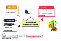 L'accord dans le groupe nominal - Carte mentale à co - construire : 6ème, 7ème Harmos - PDF à imprimer