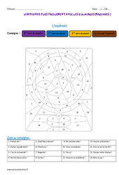 Impératif - Coloriage magique : 7ème Harmos - PDF à imprimer