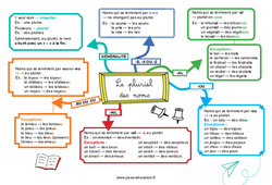 Le pluriel des noms - Carte mentale : 7ème, 8ème Harmos - PDF à imprimer