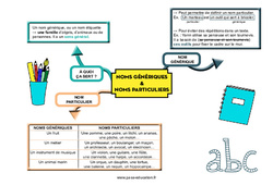 Noms génériques et noms particuliers - Carte mentale : 7ème, 8ème Harmos - PDF à imprimer