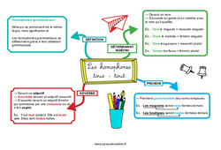 Tous - tout - Les homophones grammaticaux - Carte mentale : 7ème, 8ème Harmos - PDF à imprimer