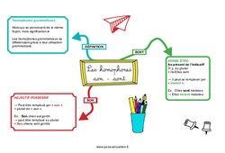 Son - Sont - Les homophones grammaticaux - Carte mentale : 7ème, 8ème Harmos - PDF à imprimer