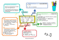 S’est - c’est - sais - sait - ces - ses - Les homophones grammaticaux - Carte mentale : 7ème, 8ème Harmos - PDF à imprimer