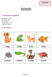 Animals - Cours, Leçon d'anglais  - Séquence 8 - My English Pass : 3eme, 4ème Harmos - PDF gratuit à imprimer