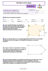 Périmètre d’une figure - Examen Evaluation en grandeurs et mesures pour la  : 8ème Harmos - PDF à imprimer