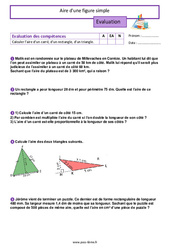 Aire d'une figure simple - Examen Evaluation en grandeurs et mesures pour la  : 8ème Harmos - PDF à imprimer