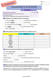 Les synonymes et les antonymes - Examen Evaluation de vocabulaire pour la  : 8ème Harmos - PDF à imprimer