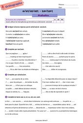 Homophones grammaticaux (ai/et/es/est - son/sont) - Examen Evaluation d'orthographe pour la  : 8ème Harmos - PDF à imprimer