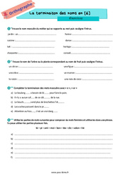 La terminaison des noms en [é] - Exercices d'orthographe pour la  : 8ème Harmos - PDF à imprimer