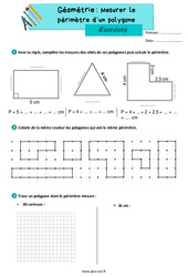 Mesurer le périmètre d’un polygone - Exercices de géométrie : 5ème Harmos - PDF à imprimer