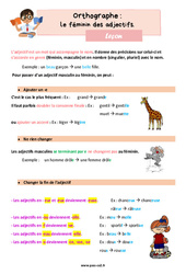 Le féminin des adjectifs - Cours, Leçon d'orthographe : 5ème Harmos - PDF gratuit à imprimer