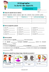 Le pluriel des adjectifs - Exercices d'orthographe : 5ème Harmos - PDF à imprimer