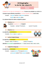 Le pluriel des adjectifs - Cours, Leçon d'orthographe : 5ème Harmos - PDF à imprimer