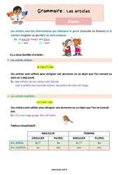 Les articles - Cours, Leçon de grammaire : 5ème Harmos - PDF gratuit à imprimer