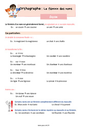 Le féminin des noms - Cours, Leçon d'orthographe : 6ème Harmos - PDF gratuit à imprimer