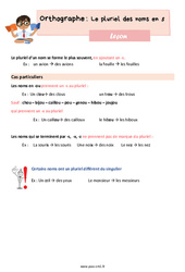 Le pluriel des noms en s - Cours, Leçon d'orthographe : 6ème Harmos - PDF gratuit à imprimer