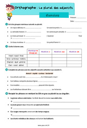 Le pluriel des adjectifs - Exercices d'orthographe : 6ème Harmos - PDF à imprimer