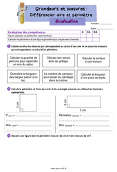 Différencier aire et périmètre - Évaluation de grandeurs et mesures : 6ème Harmos - PDF à imprimer