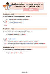 Les noms féminins se terminant en [e], [te] et [tje] - Cours, Leçon d'orthographe : 6ème Harmos - PDF gratuit à imprimer