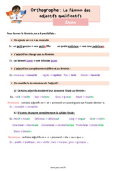 Le féminin des adjectifs qualificatifs - Cours, Leçon d'orthographe : 7ème Harmos - PDF gratuit à imprimer