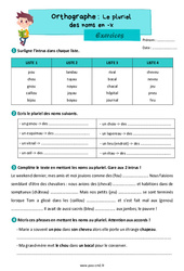 Le pluriel des noms en - x - Exercices d'orthographe : 7ème Harmos - PDF à imprimer