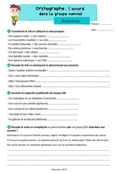 L'accord dans le groupe nominal - Exercices d'orthographe : 7ème Harmos - PDF à imprimer