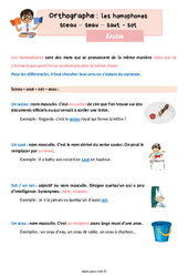 Les homophones lexicaux - Fiches sceau - seau - saut - sot - Cours, Leçon d'orthographe : 7ème Harmos - PDF gratuit à imprimer