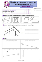 Identifier et tracer des droites parallèles - Évaluation de géométrie : 7ème Harmos - PDF à imprimer