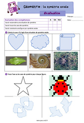 Symétrie axiale - Évaluation de géométrie : 7ème Harmos - PDF à imprimer
