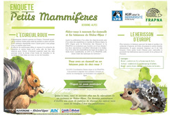 Petits mammifères - Affiche - Texte Argumentatif : 5ème Harmos - PDF à imprimer