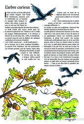 L’arbre curieux - Récit - Lecture : 5ème Harmos - PDF à imprimer