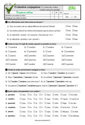 Le futur des verbes  vouloir, pouvoir, prendre - Examen Evaluation- Fiches QCM - Quiz : 5ème Harmos - PDF à imprimer