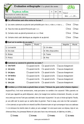 Le pluriel des noms - Examen Evaluation- Fiches QCM - Quiz  : 5ème Harmos - PDF à imprimer