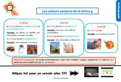 Evaluation et bilan sur les valeurs sonores de la lettre g : 6ème Harmos - PDF à imprimer