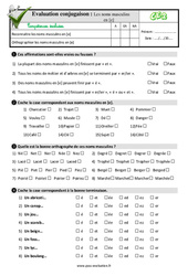 Les noms masculins en [e] - Examen Evaluation- Fiches QCM - Quiz  : 5ème Harmos - PDF à imprimer