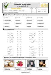 m devant m, b, p - Examen Evaluation- Fiches QCM - Quiz  : 6ème Harmos - PDF à imprimer