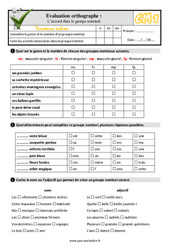 L’accord dans le groupe nominal - Examen Evaluation- Fiches QCM - Quiz  : 6ème Harmos - PDF à imprimer