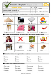 Le pluriel des noms - Examen Evaluation- Fiches QCM - Quiz  : 6ème Harmos - PDF à imprimer