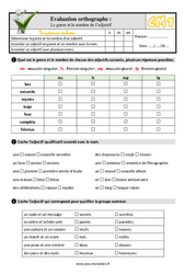 Le genre et le nombre de l’adjectif - Examen Evaluation- Fiches QCM - Quiz  : 6ème Harmos - PDF à imprimer