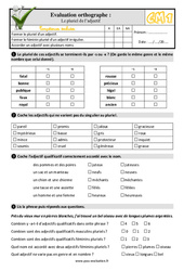 Le pluriel de l’adjectif - Examen Evaluation- Fiches QCM - Quiz  : 6ème Harmos - PDF à imprimer