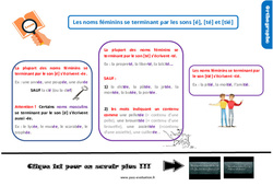 Evaluation avec le corrigé pour les féminins se terminant par les sons [é], [té] et [tié] - Bilan  : 7ème Harmos - PDF à imprimer